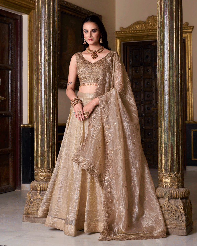 Elegence Chikoo Color Gold Crush Embroidered Lehenga Choli