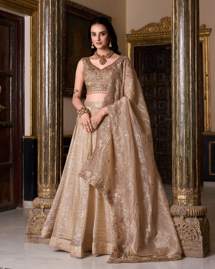 Elegence Chikoo Color Gold Crush Embroidered Lehenga Choli