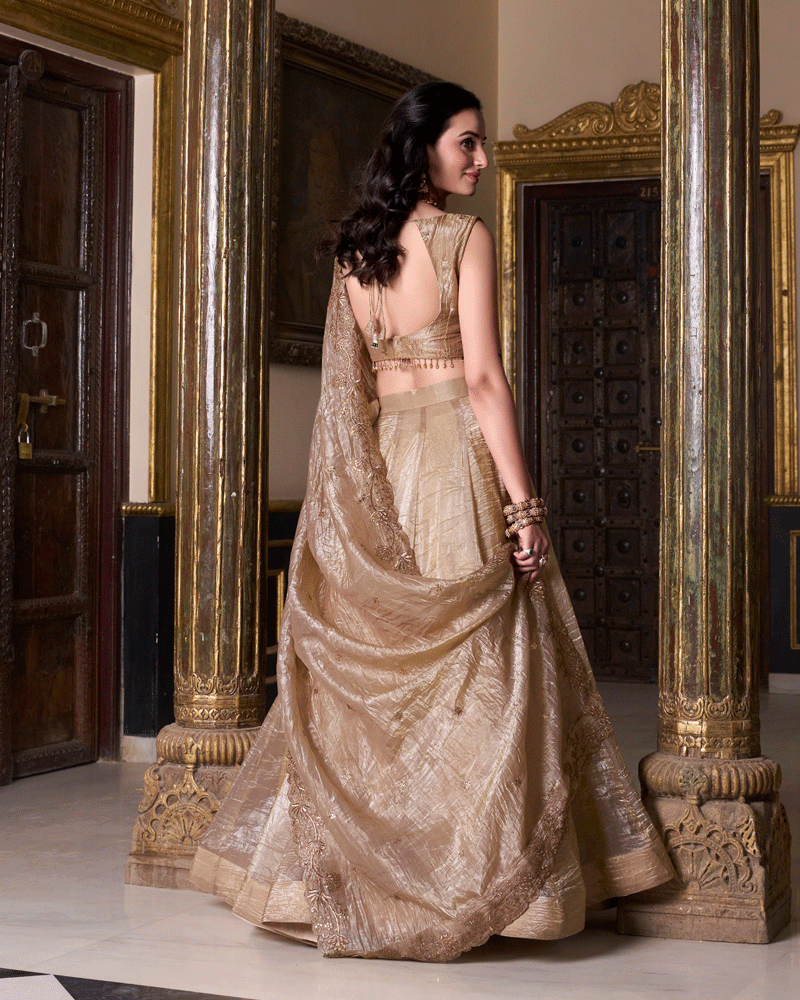 Elegence Chikoo Color Gold Crush Embroidered Lehenga Choli