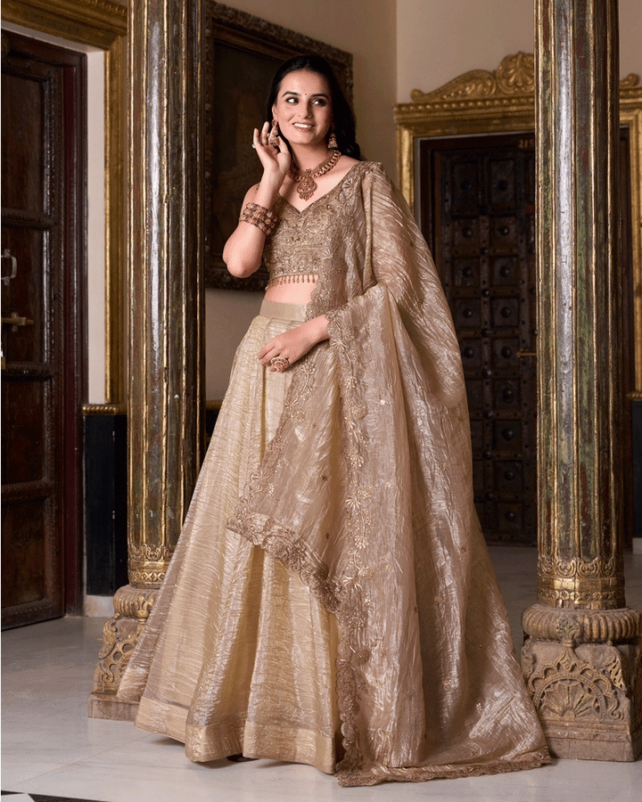 Elegence Chikoo Color Gold Crush Embroidered Lehenga Choli