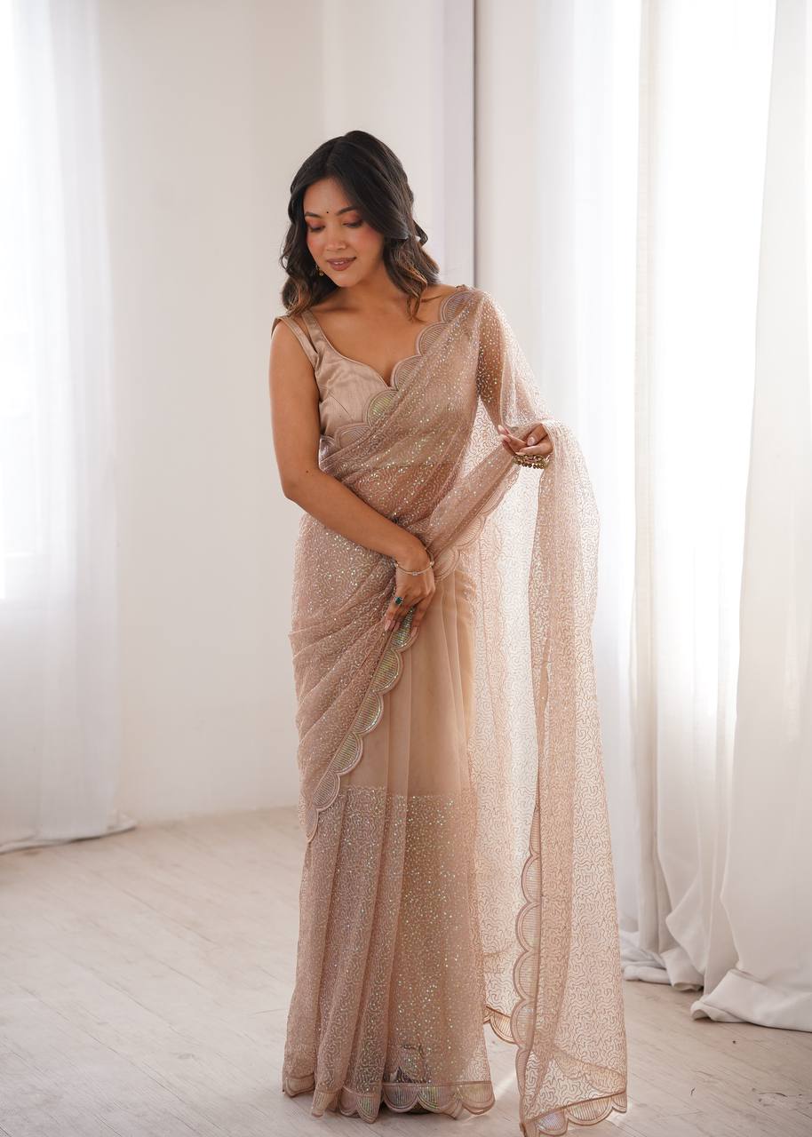 Chikoo Color Soft Net Embroidered Saree