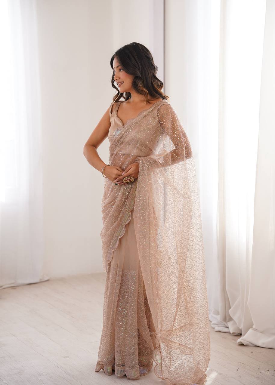 Chikoo Color Soft Net Embroidered Saree