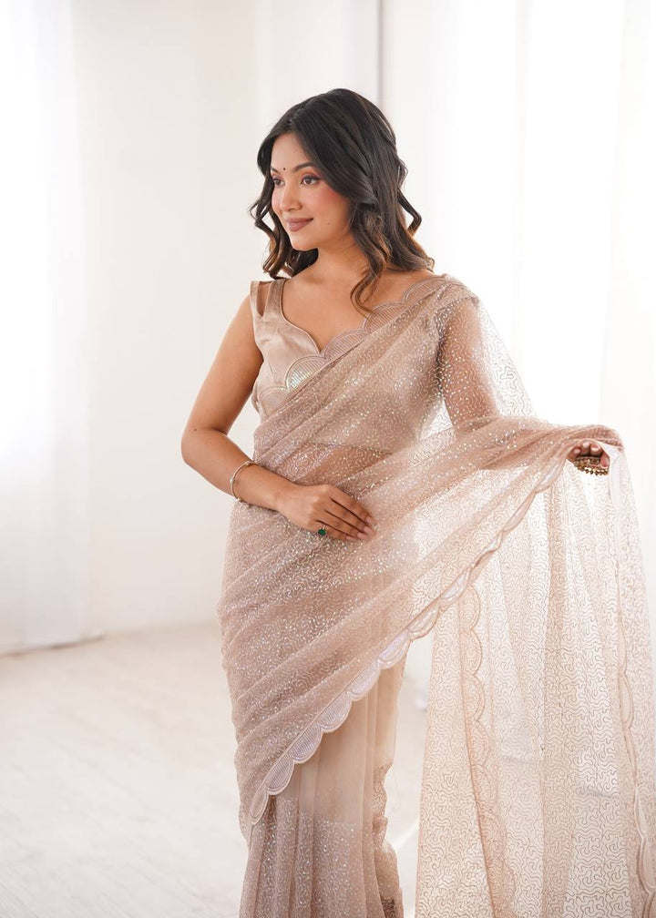 Chikoo Color Soft Net Embroidered Saree