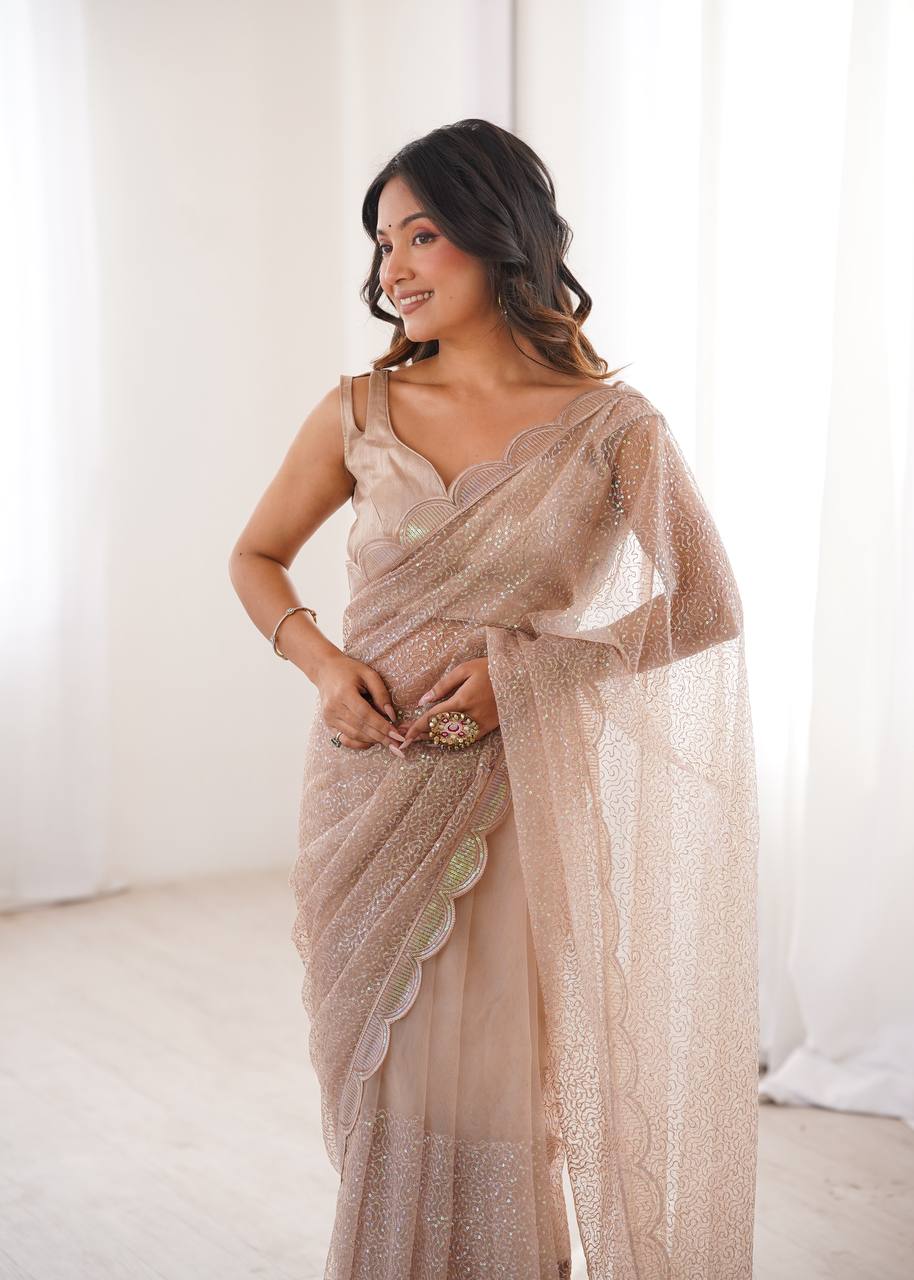 Chikoo Color Soft Net Embroidered Saree